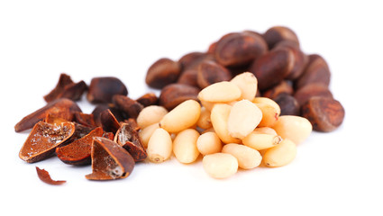 Cedar pine nuts isolated on white