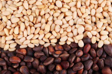 Cedar pine nuts, close up