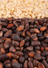 Fototapeta premium Cedar pine nuts, close up