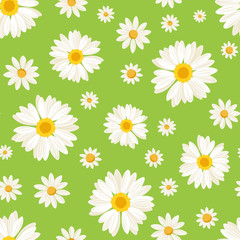 Seamless pattern with daisy flowers on green. Vector.