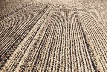 soil of an agricultural field