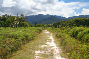 Fototapeta na wymiar Borneo - Agroturystyka