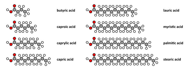 Saturated fatty acids: butyric, caproic, caprylic, capric, etc