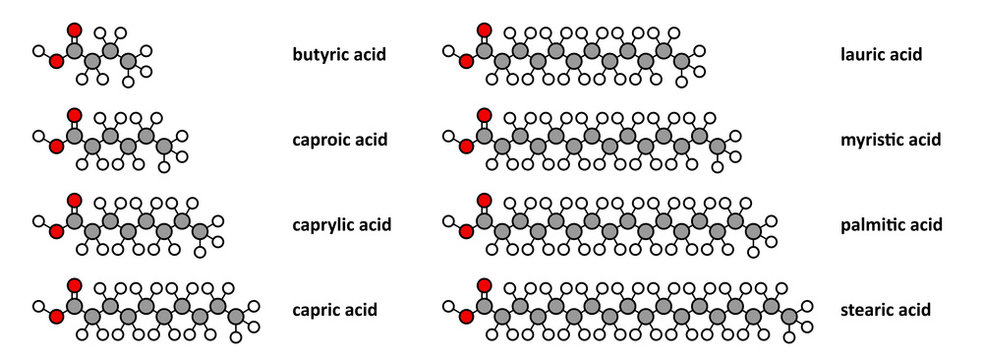 Saturated fatty acids: butyric, caproic, caprylic, capric, etc