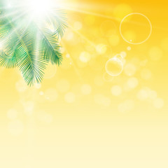 Fototapeta na wymiar Leaves of palm tree on background