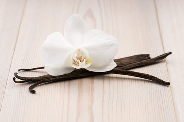 Vanilla pods and flower