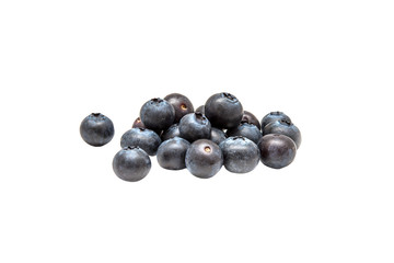 Blueberries on white background