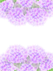 あじさい　梅雨　風景