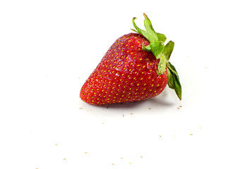 A red strawberry on white background