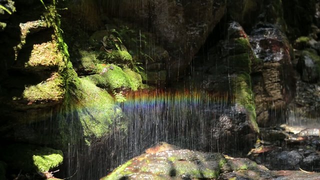 清流の虹