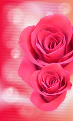 vector background with beautiful pink rose