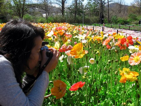 Taking photos at flower garden in Australia