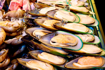Green mussel with ice