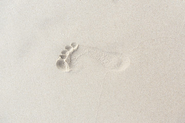 Footprints in the sand