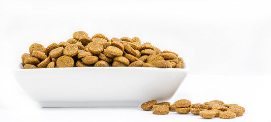 Dog food in a bowl on white background