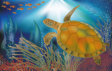 Underwater world wallpaper with turtle, vector