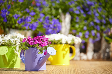 Outdoor gardening tools on old wood table