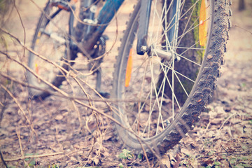 bicycle wheel, bike in the forest on earth