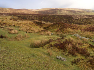 Fototapeta na wymiar Dartmoor, Devon, March 2014