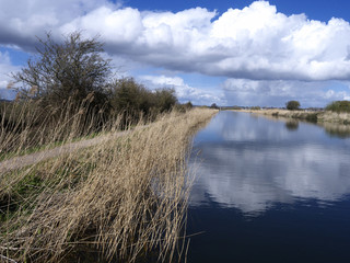 Exeter Canal south of Exeter,