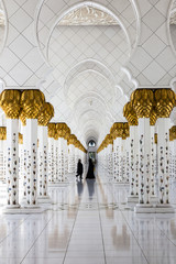Fototapeta premium Sheikh Zayed Grand Mosque in Abu Dhabi