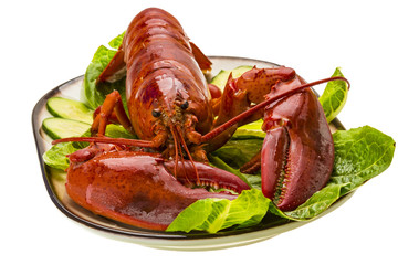 Large Lobster