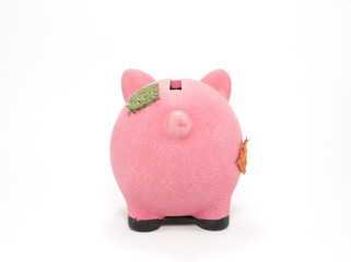 piggy bank