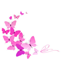 butterflies design