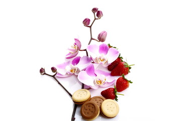 Orchidea , fragole e biscotti