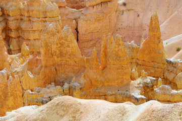 Bryce Canyon