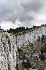 Tooth of wolf, natural park of Vercors,France