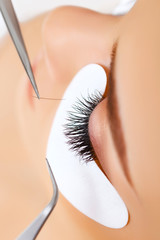 Fototapeta premium Woman Eye with Long Eyelashes. Eyelash Extension