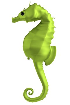 realistic 3d render of seahorse