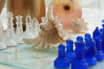 Chess & shell - 64222154