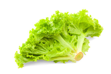 green iceberg lettuce salad leaves