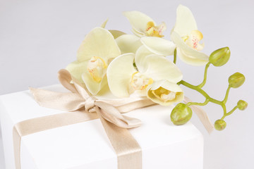 Fototapeta na wymiar gift box with ribbon and white orchid