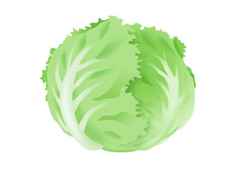 Lettuce