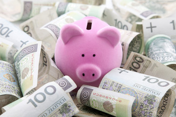 Piggy bank with polish money