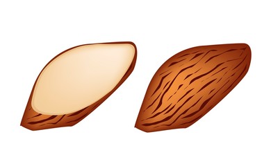 Whole and Slice Almonds on White Background