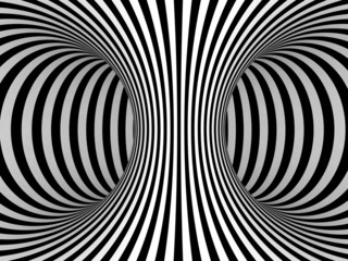 Black and White Stripes Projection on Torus.