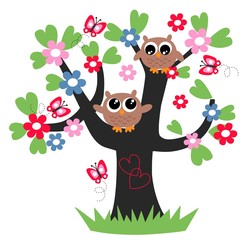 Obraz premium dwie słodkie brązowe sowy na drzewie