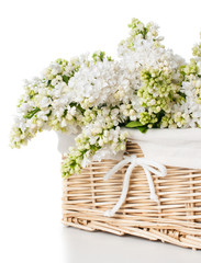 white lilac flowers in a basket isolated