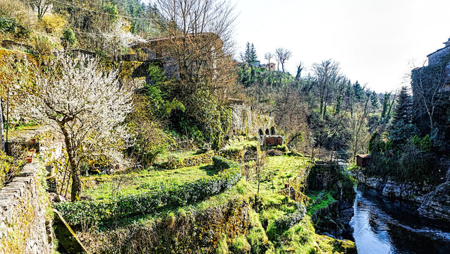 bagnone