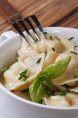 hot dumplings closeup in white bowl closeup. Vertical