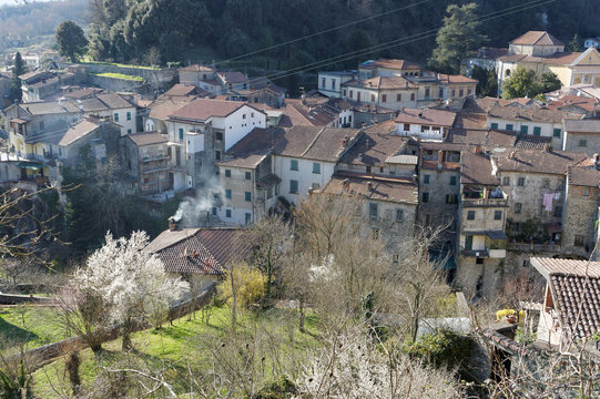 bagnone