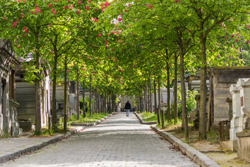 viale al cimitero