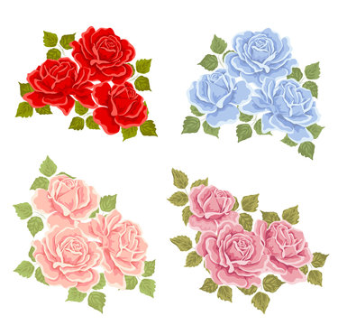 Roses. Vector
