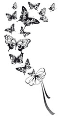 butterflies design