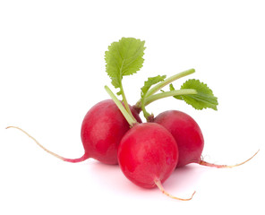 Small garden radish