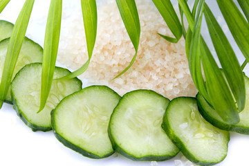 Slices of cucumber with sea salt isolated on white